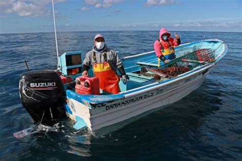 Exploring Oceanography: Latest Studies and Insights on Marine Ecosystems