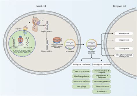 Top Breakthroughs in Artificial Life and Synthetic Biology: Latest Innovations and Discoveries