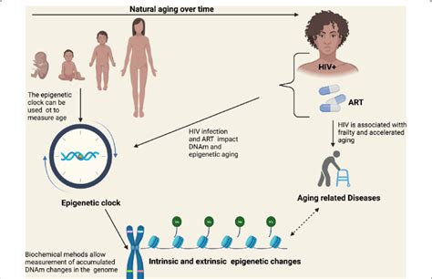 Latest Advances in Gene Therapy: Breakthroughs and Solutions for Genetic Disorders