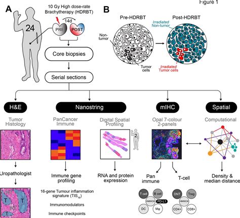 Genetic Engineering Breakthroughs: Medical Applications