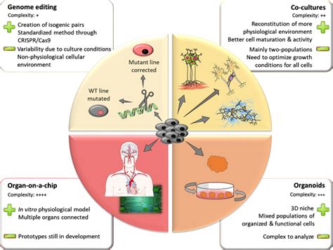 Genetic Engineering Breakthroughs: Medical Applications